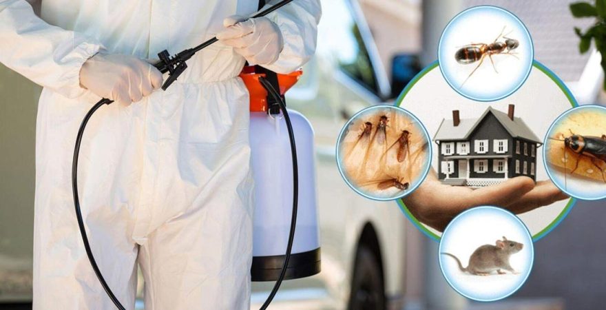 Bağcılar Böcek İlaçlama