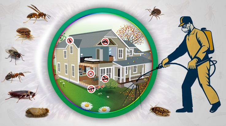 Bağcılar Böcek İlaçlama