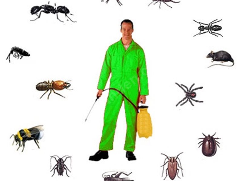 Bağcılar Böcek İlaçlama