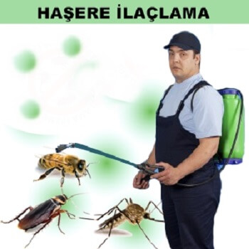 Bağcılar Böcek İlaçlama
